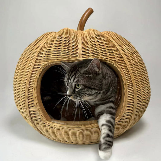 Pumpkin Pet House - Rattan Furniture