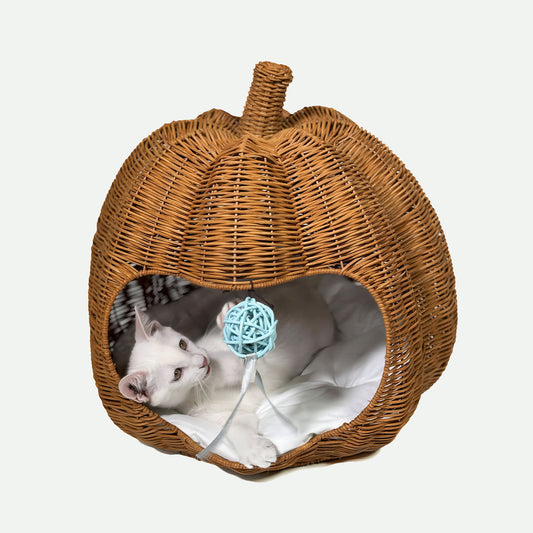 Pumpkin Cat House - Wicker Furniture For Pets