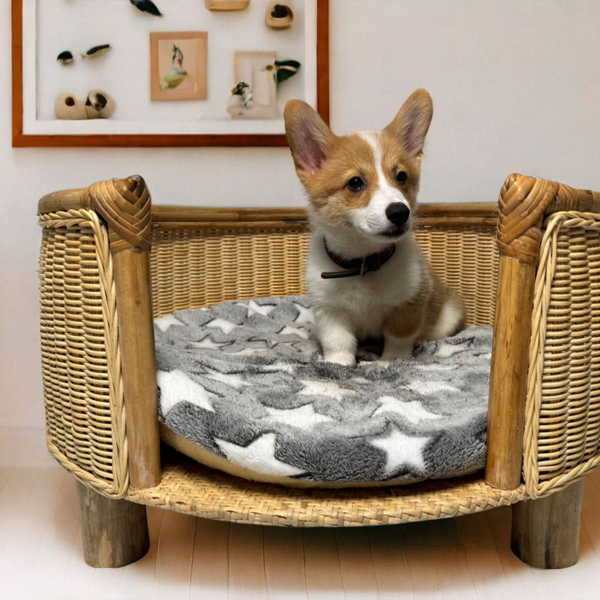 Small wicker fashion dog bed