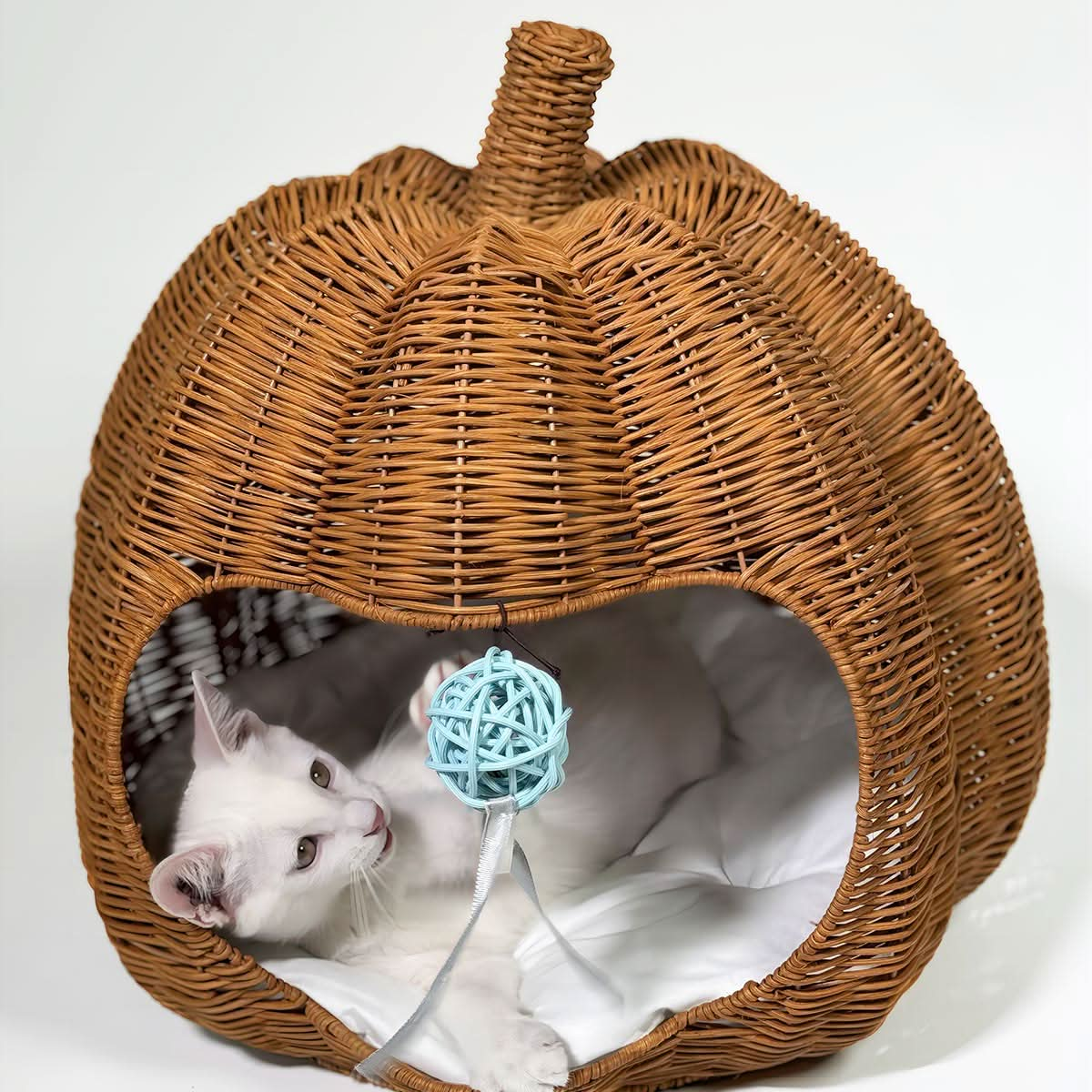 Pumpkin Cat House Wicker Furniture For Pets WhimzyPet